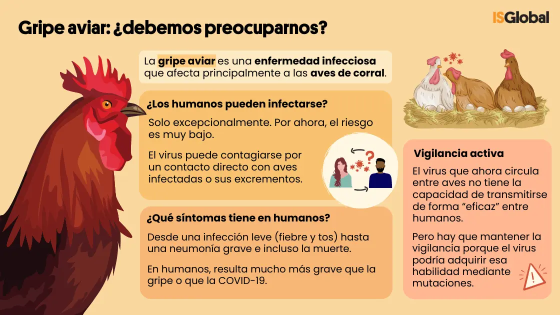 Virus de las aves: una amenaza para la salud humana - Cómo afecta la gripe aviar A los humanos virus de las aves - Cómo afecta la gripe aviar A los humanos