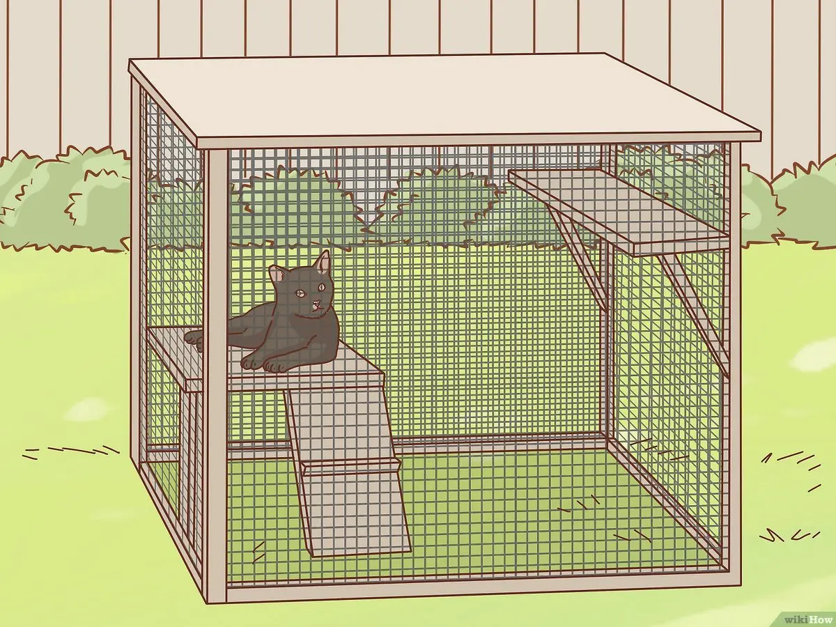 como alejar gatos de la jaula de pajaros - Cómo ahuyentar los gatos de los pájaros