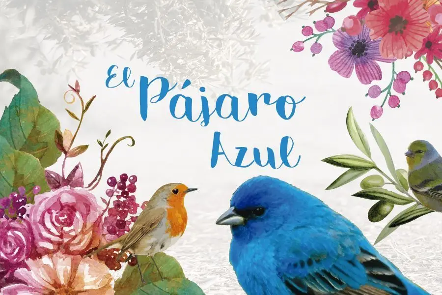 como crear una historia de pájaros - Cómo crear una historia o cuento