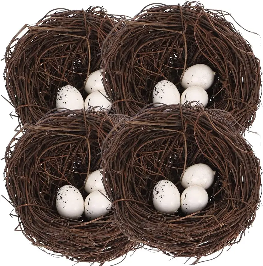 nido de pajaros para niños - Cómo cuidar los nidos de las aves