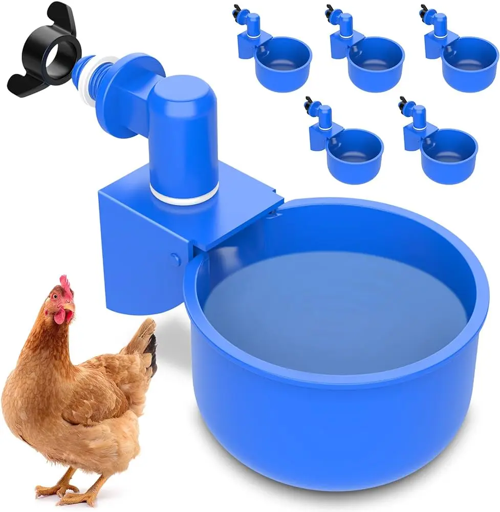 agua para aves - Como debe ser el agua para las gallinas