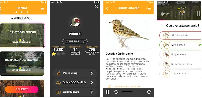 aplicación para identificar cantos de aves - Cómo descargar Merlin