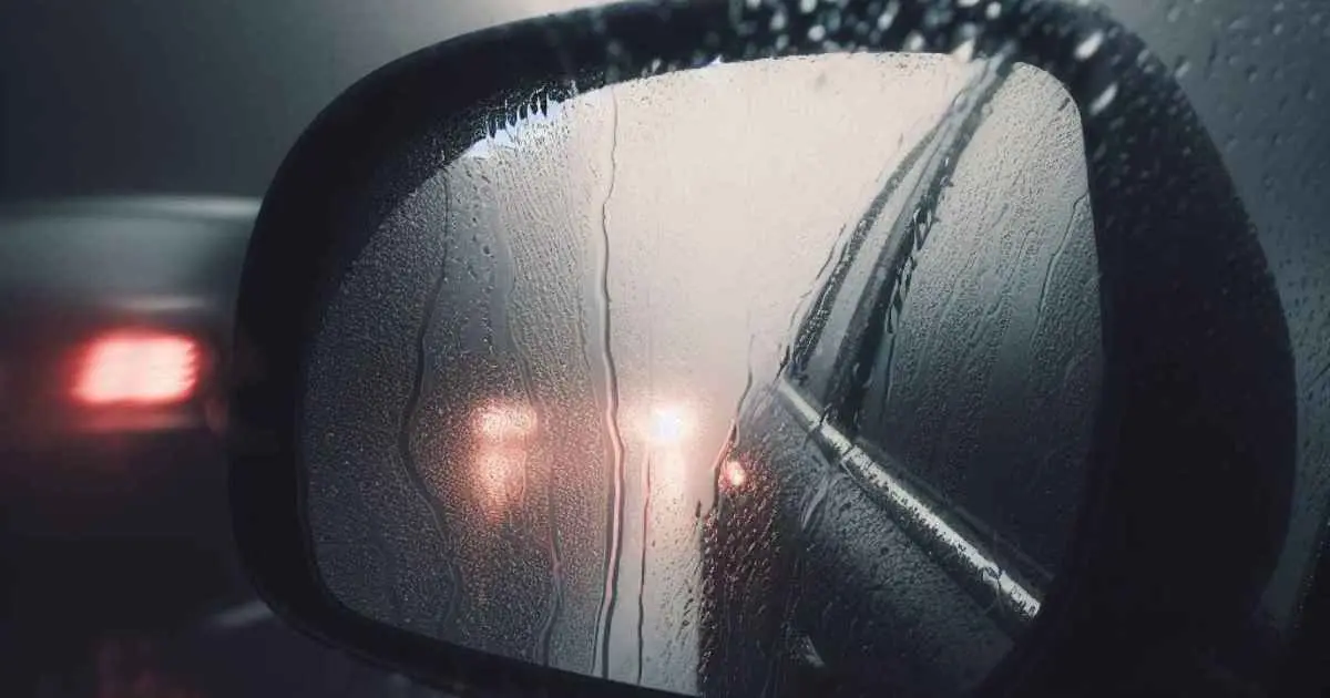 ave en espejo de auto con lluvia - Cómo desempañar los espejos de mi carro