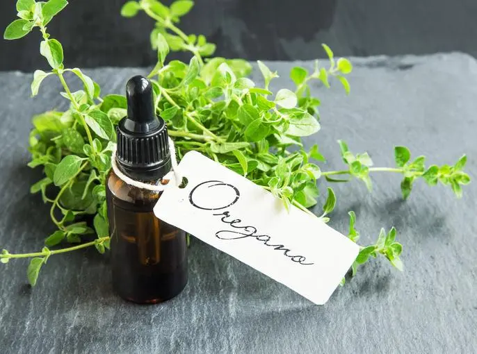 Aceite de orégano en aves: beneficios y usos - Cómo diluir el aceite de orégano aceite de oregano en aves - Cómo diluir el aceite de orégano