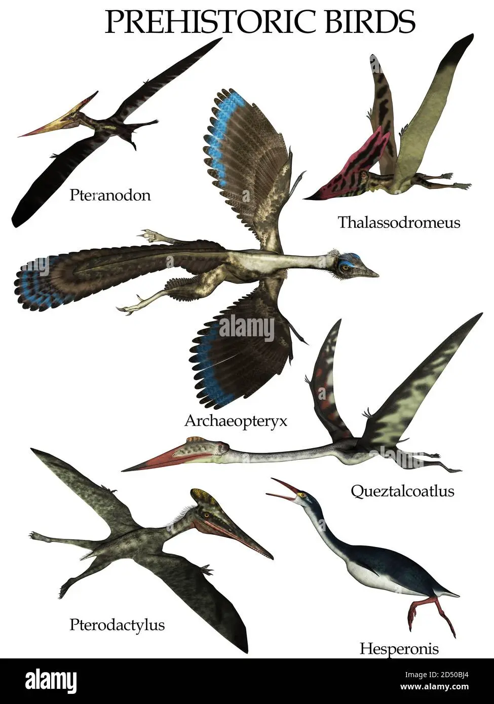 nombres de aves prehistoricas - Cómo eran las aves antiguas