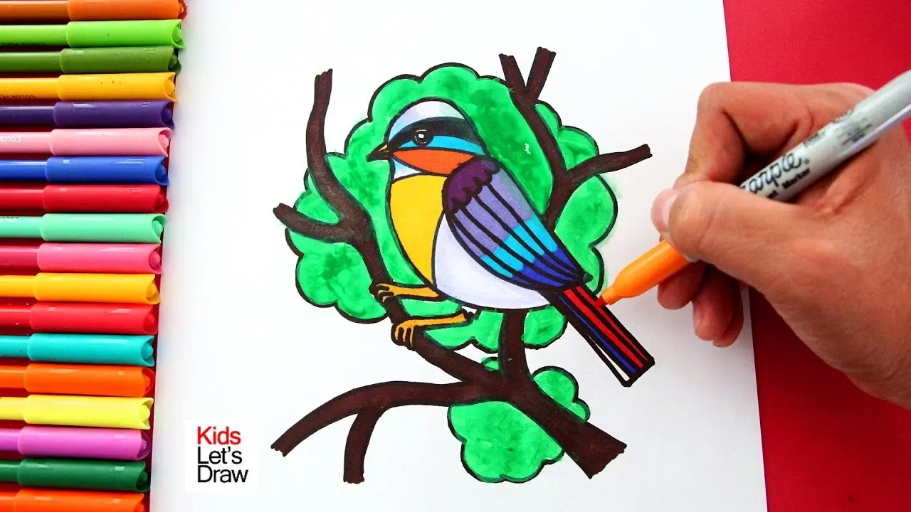 colores para pintar un pajaro - Cómo es el color del loro