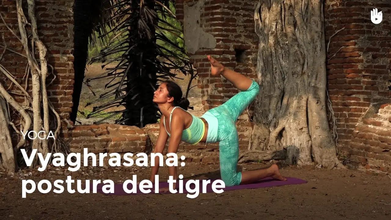 postura del pajaro en yoga - Cómo es la postura del tigre