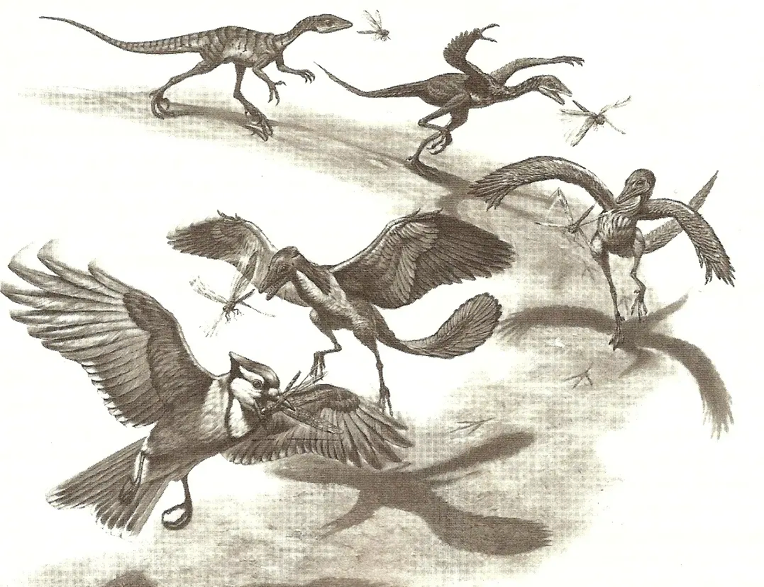 origen del vuelo de las aves - Cómo evoluciono el vuelo