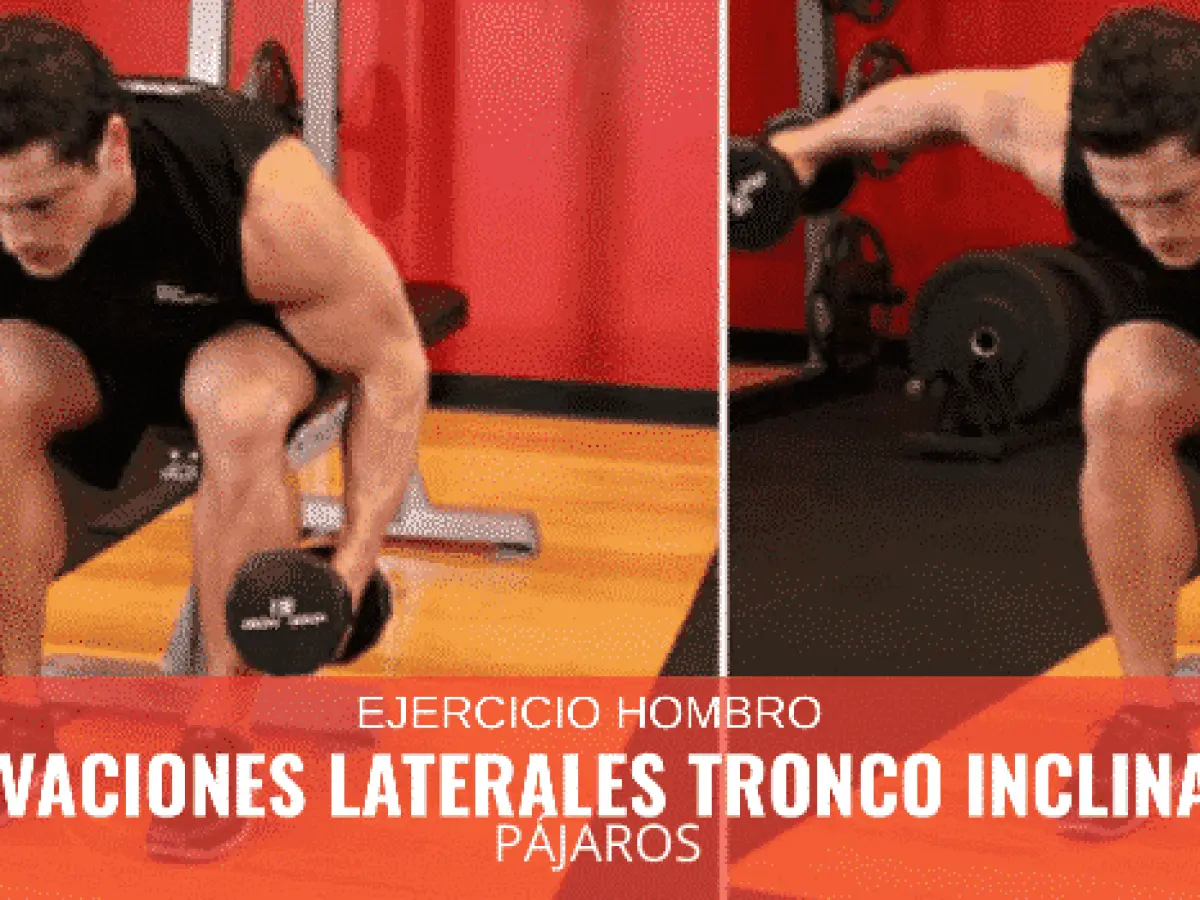 Cómo hacer elevaciones laterales inclinado - Cómo hacer elevaciones laterales inclinado elevaciones laterales tronco inclinado hacia delante o pájaro - Cómo hacer elevaciones laterales inclinado