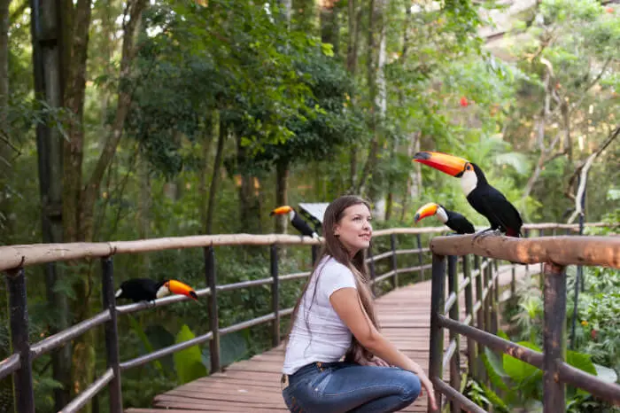 parque de las aves misiones - Cómo pagar en Cataratas Brasil
