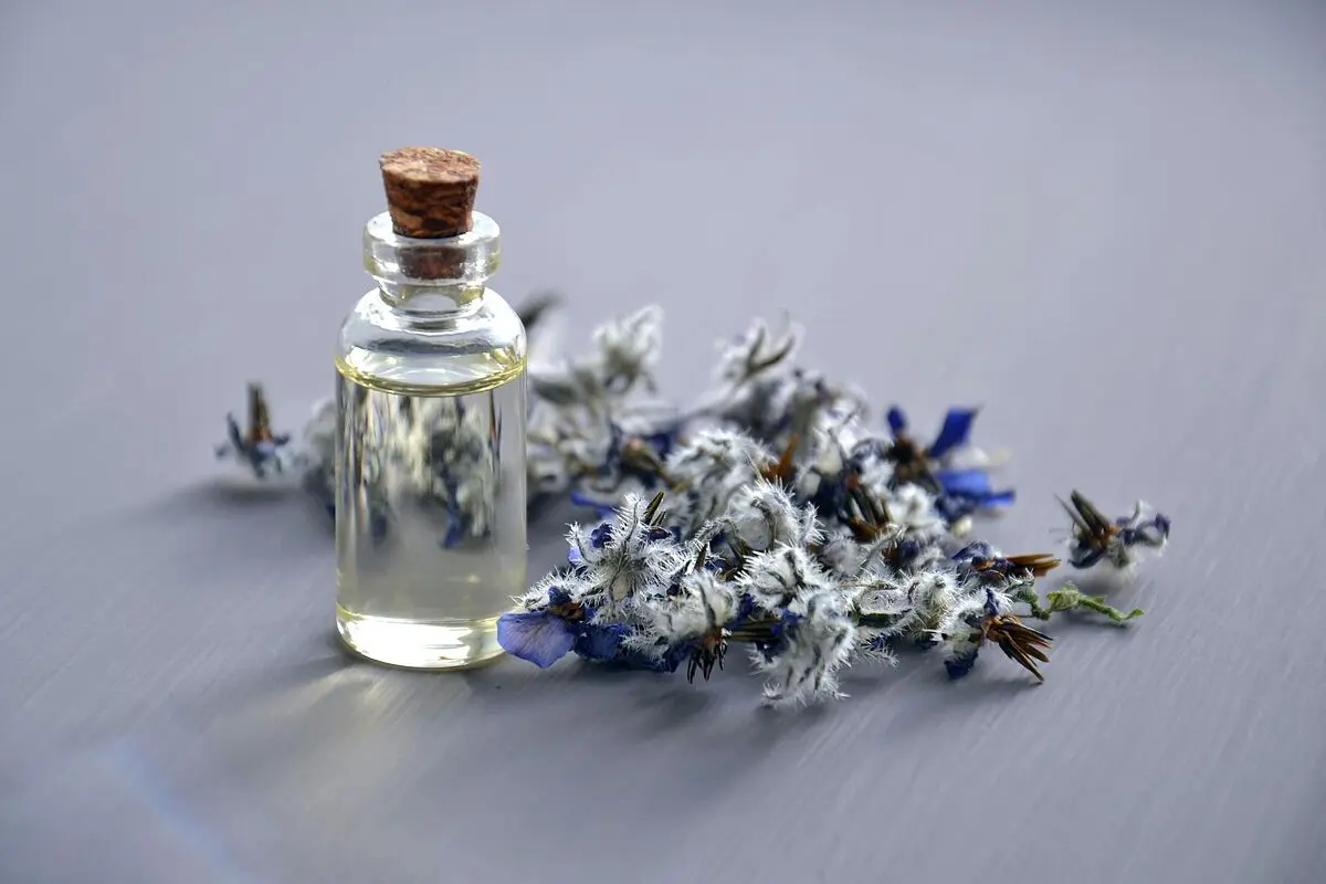 aceite esencial de lavanda pajaro tigre - Cómo se aplica el aceite esencial de lavanda