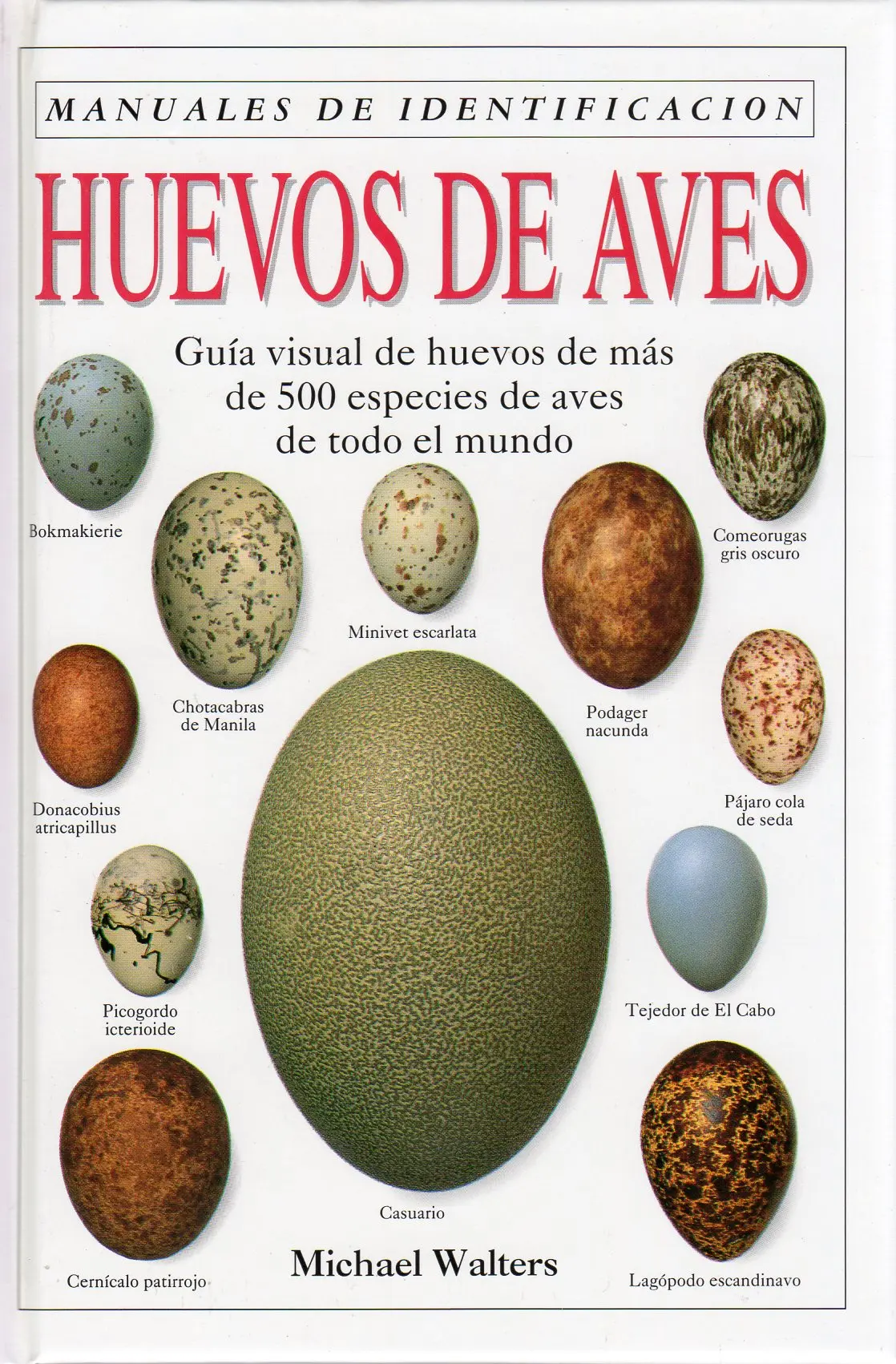Clases de huevos de aves - Cómo se clasifican los huevos en Argentina clases de huevos de aves - Cómo se clasifican los huevos en Argentina