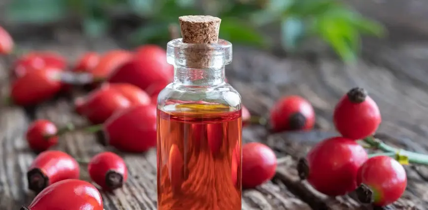 aceite de rosa mosqueta pajaro tigre - Cómo se debe utilizar el aceite de rosa mosqueta