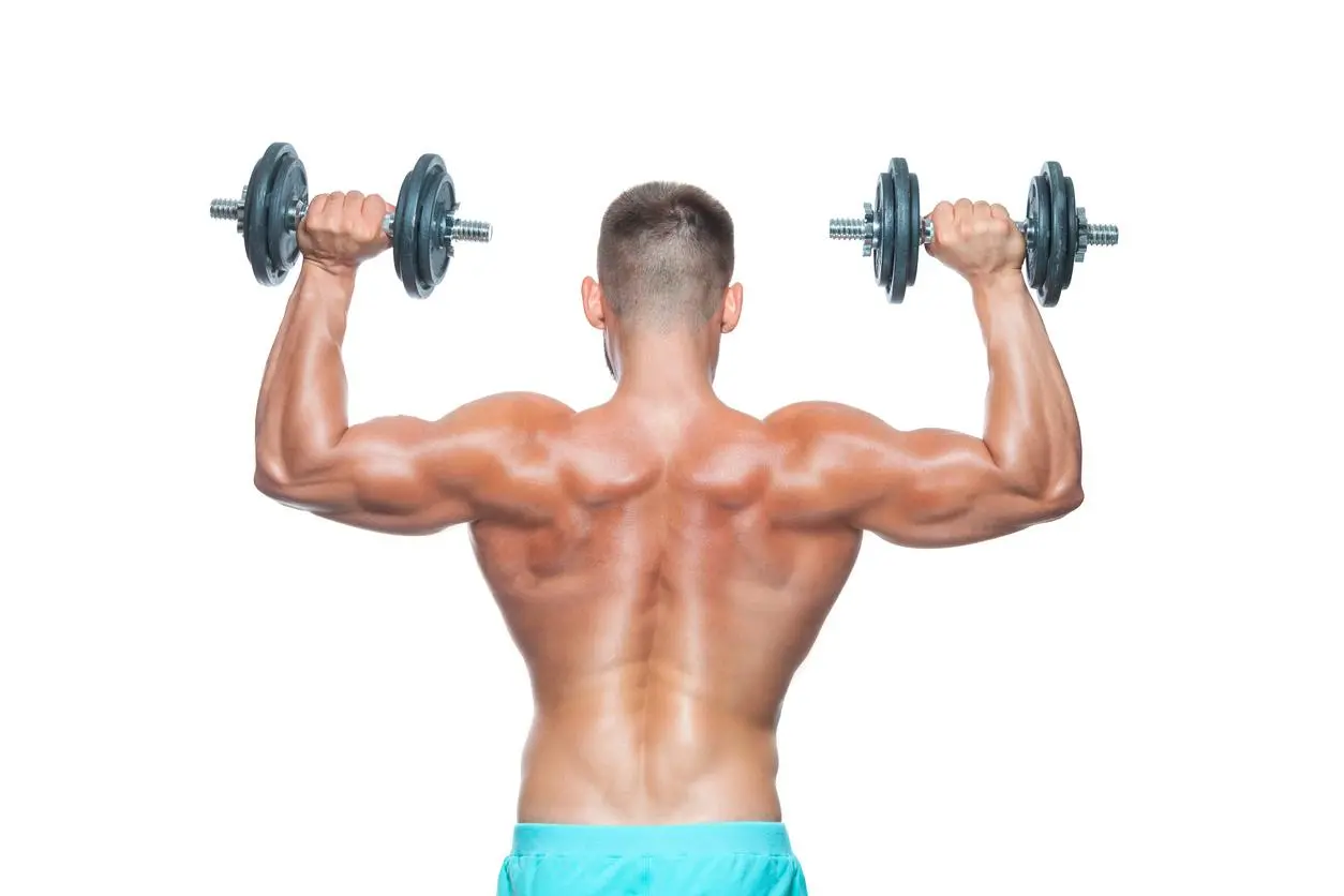 Hombros con mancuernas: Ejercicios para fortalecer y tonificar - Cómo se hace el press de hombros con mancuernas hombros pajaro mancuernas - Cómo se hace el press de hombros con mancuernas