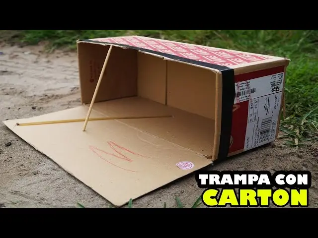 como acer trampitas guachas para pajaros - Cómo se hace la Aripuca