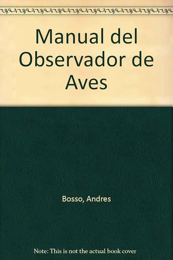 observador de aves - Cómo se hace la observación de aves