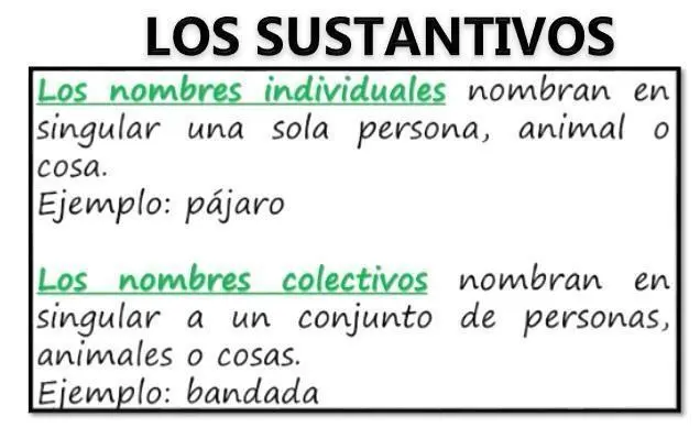 conjunto colectivo de pajaros - Cómo se le dice a un grupo de conejos