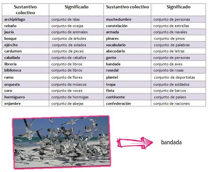 conjunto colectivo de pajaros - Cómo se le dice a un grupo de vacas