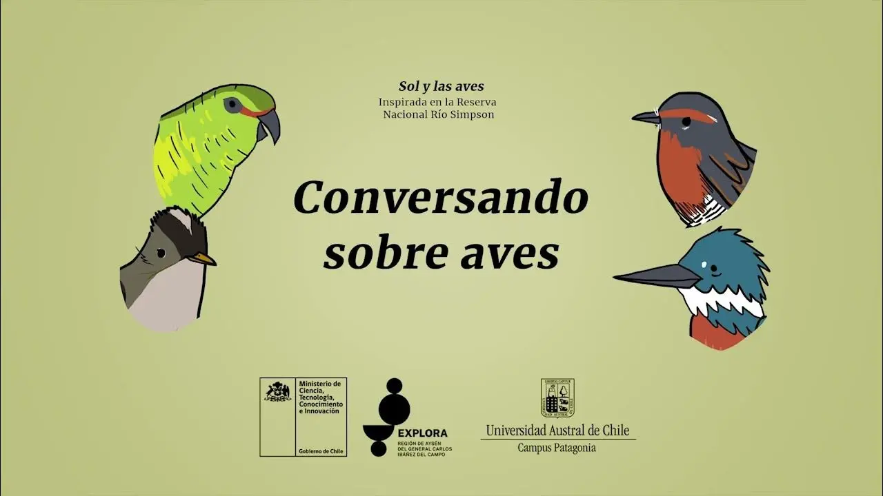 estudioso de las aves - Cómo se le dice al estudioso de las aves