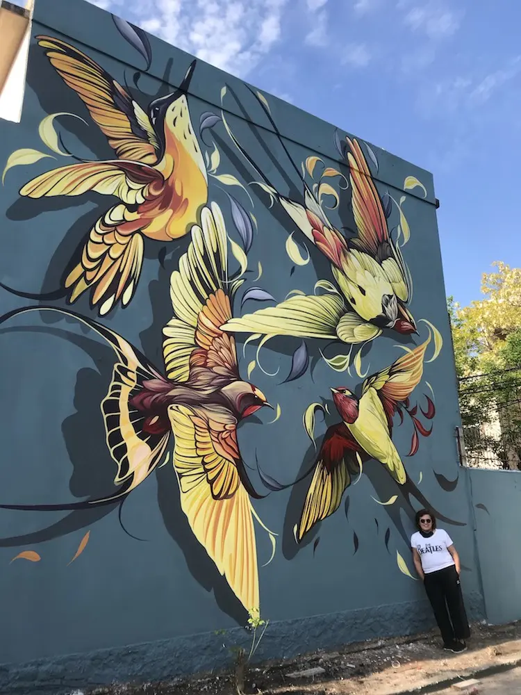 arte en las calles sobre aves - Cómo se llama el arte de la calle
