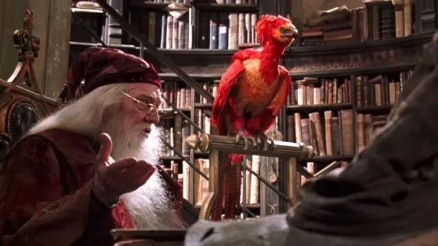 ave fenix de harry potter - Cómo se llama el ave fénix de Harry Potter