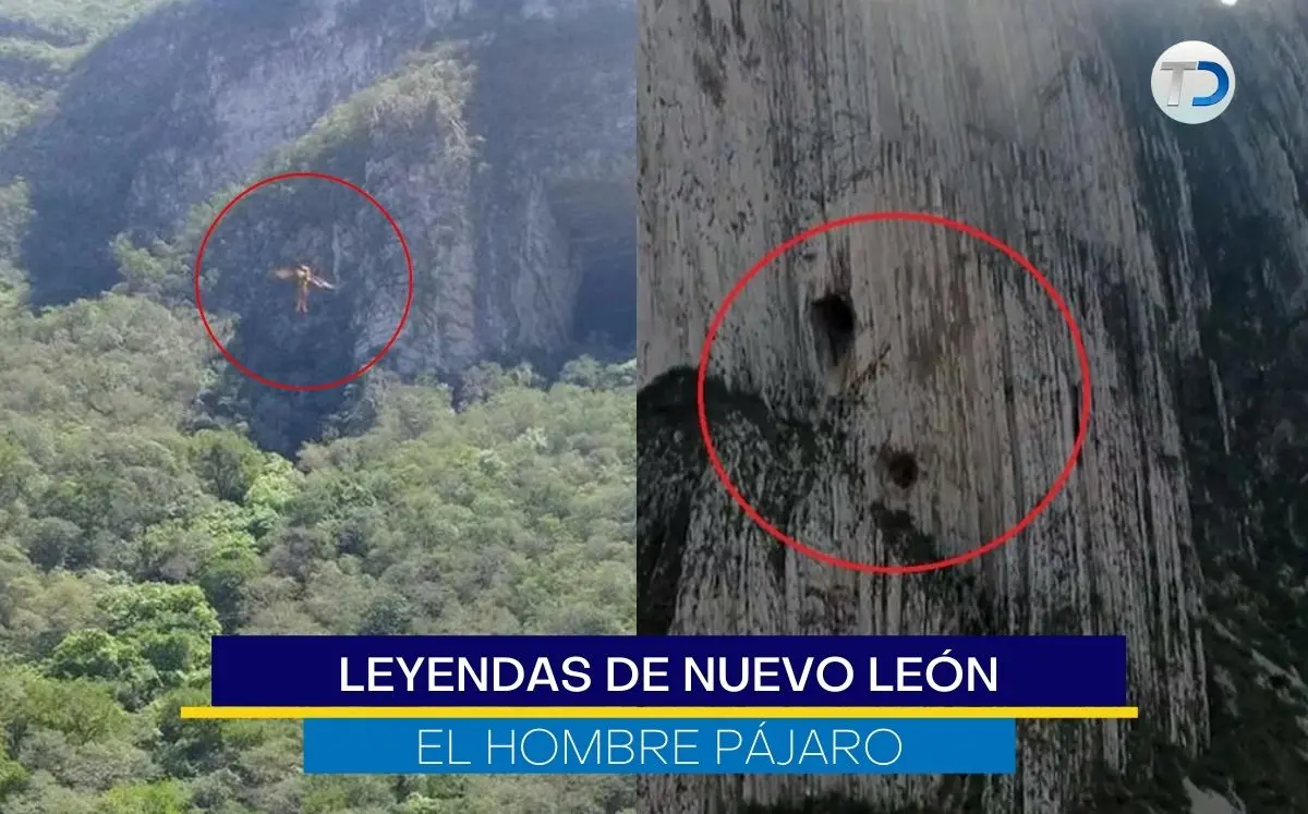 El misterioso hombre pájaro: ¿mito o realidad? - Cómo se llama el deporte del hombre pájaro hombre pajaro - Cómo se llama el deporte del hombre pájaro