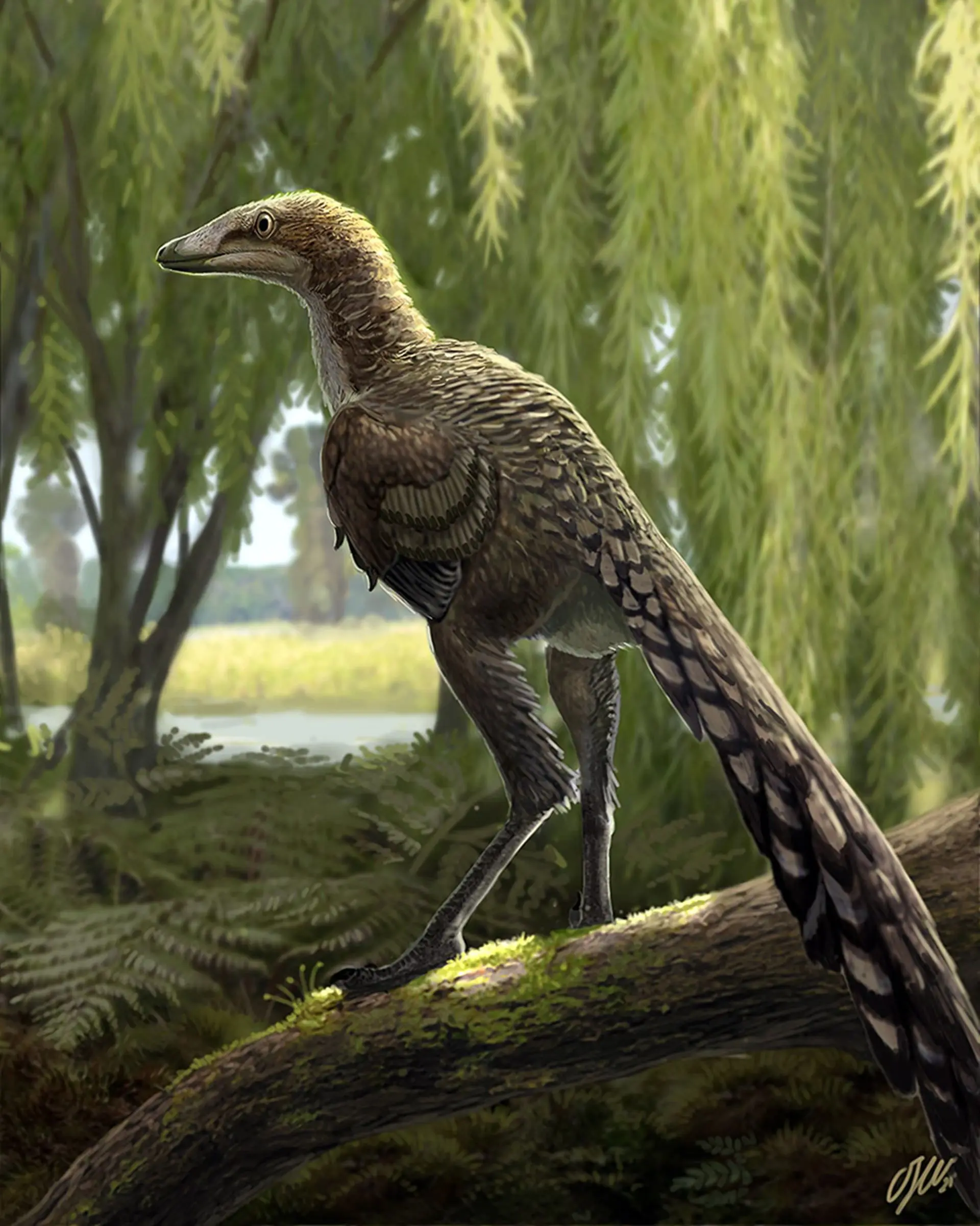 dinosaurio carnívoro y pájaros - Cómo se llama el dinosaurio que es carnívoro