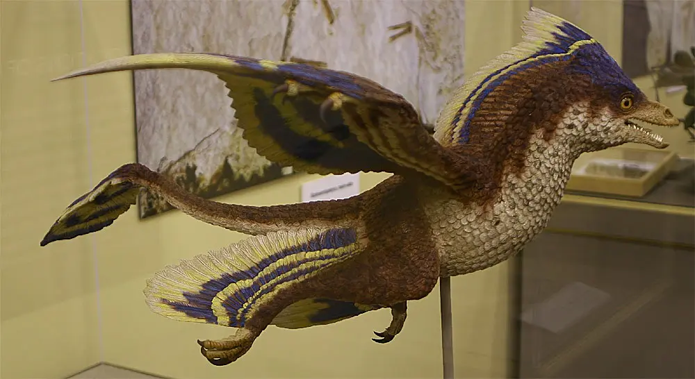 Dino Ave: El dinosaurio que parece ave - Cómo se llama el dinosaurio que parece ave dino ave - Cómo se llama el dinosaurio que parece ave