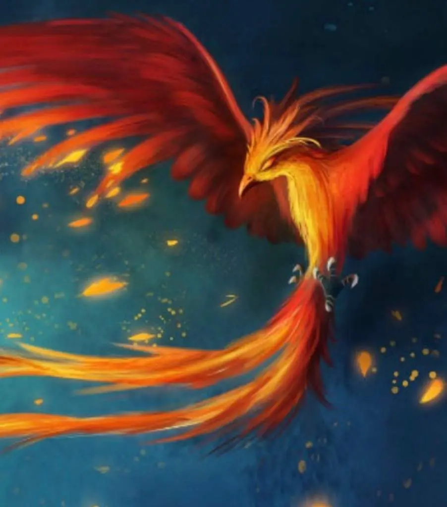 como se llama el ave fenix de harry potter - Cómo se llama el Fénix de Dumbledore