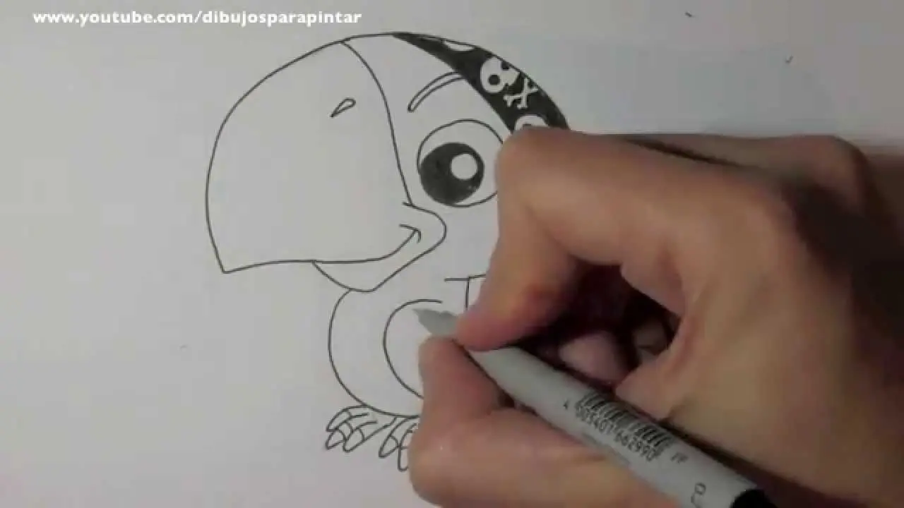 ¿Cómo se llama el loro de Jake y los piratas? - Cómo se llama el loro del pirata Jake como se llama el loro de jake y los piratas - Cómo se llama el loro del pirata Jake