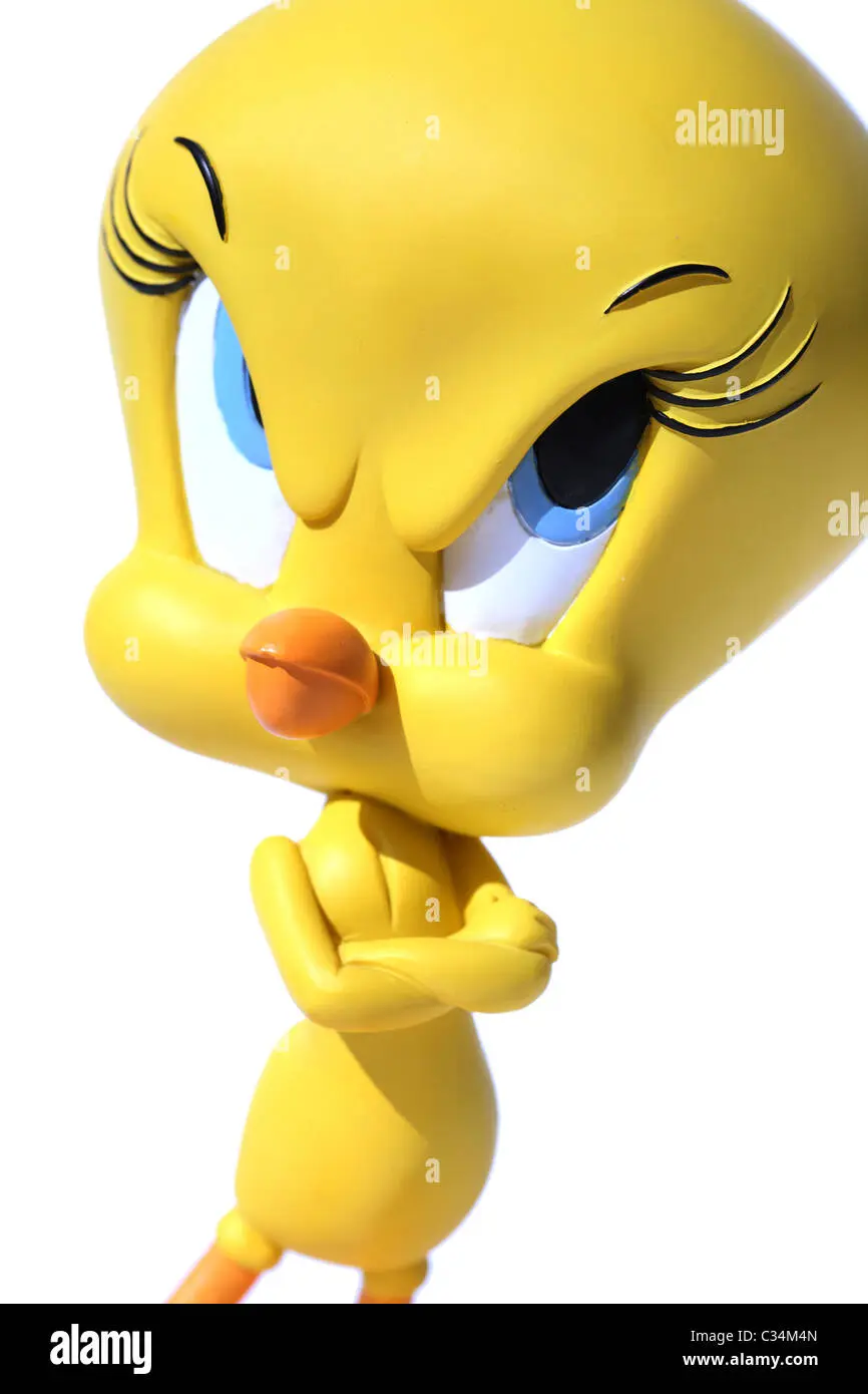 Cómo se llama el pájaro amarillo de Cartoon Network - Cómo se llama el pájaro de Tom y Jerry como se llama el pájaro amarillo de cartoon network - Cómo se llama el pájaro de Tom y Jerry