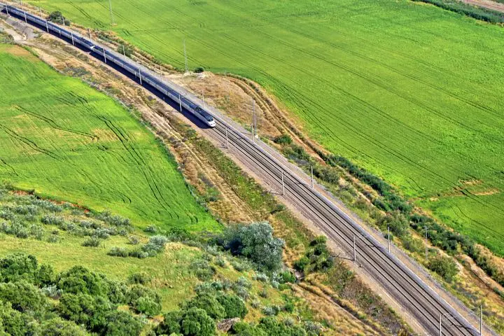Ave de Francia: El Gallo, símbolo nacional - Cómo se llama el tren que va de España a Francia ave francia - Cómo se llama el tren que va de España a Francia