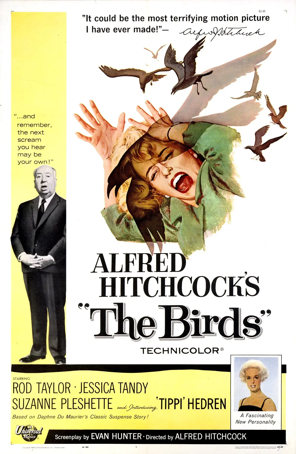 Documental de aves en Netflix: Analizando la belleza de las aves en la pantalla - Cómo se llama la película de los pájaros documental aves netflix - Cómo se llama la película de los pájaros