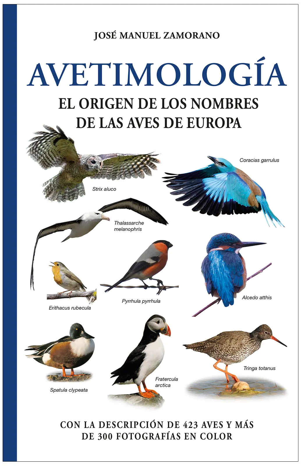 el libro de los pajaros nombres - Cómo se llama un libro de aves