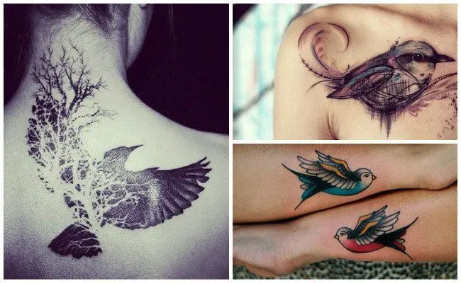 Aves tatuadas: El significado detrás de estos diseños - Cómo se llaman los pájaros que se tatuan aves tatuadas - Cómo se llaman los pájaros que se tatuan