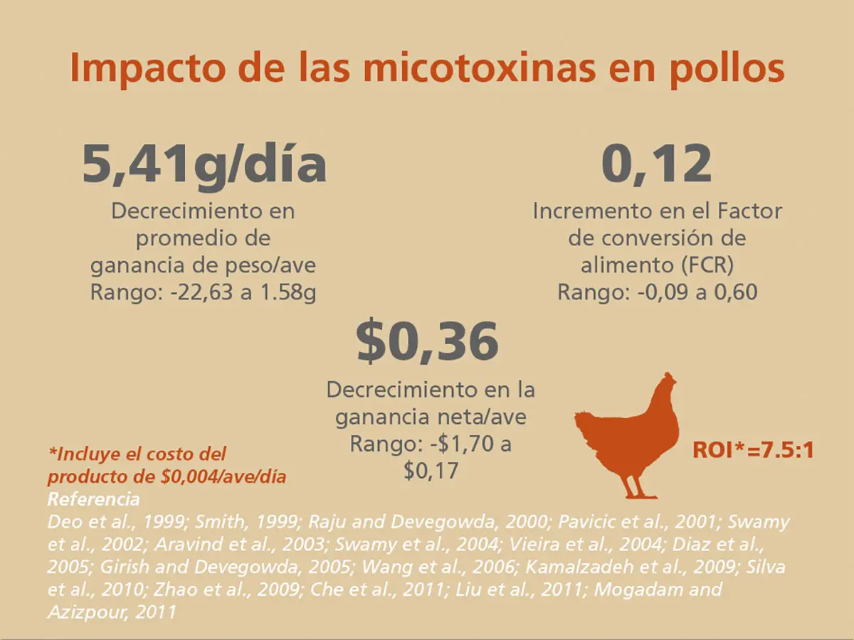 Alfatoxina en aves: tabla de inclusión y sus efectos - Cómo se mide la aflatoxina alfatoxina aves tabla de incl - Cómo se mide la aflatoxina