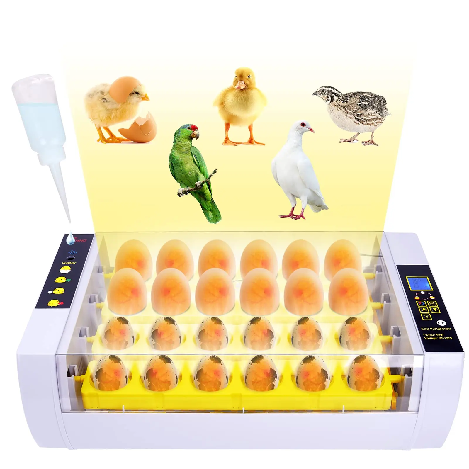 alquileres de incubadoras para aves - Cómo se trabaja en una incubadora de pollos