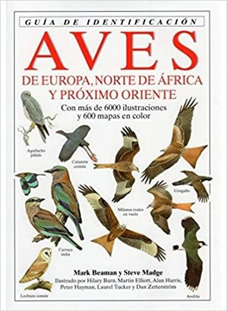 pajaros de europa - Cuál es el ave nacional de España