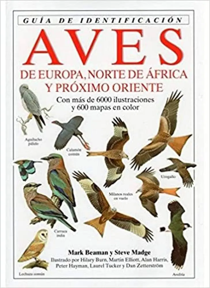 Pájaros de Europa - Cuál es el ave nacional de España pajaros de europa - Cuál es el ave nacional de España