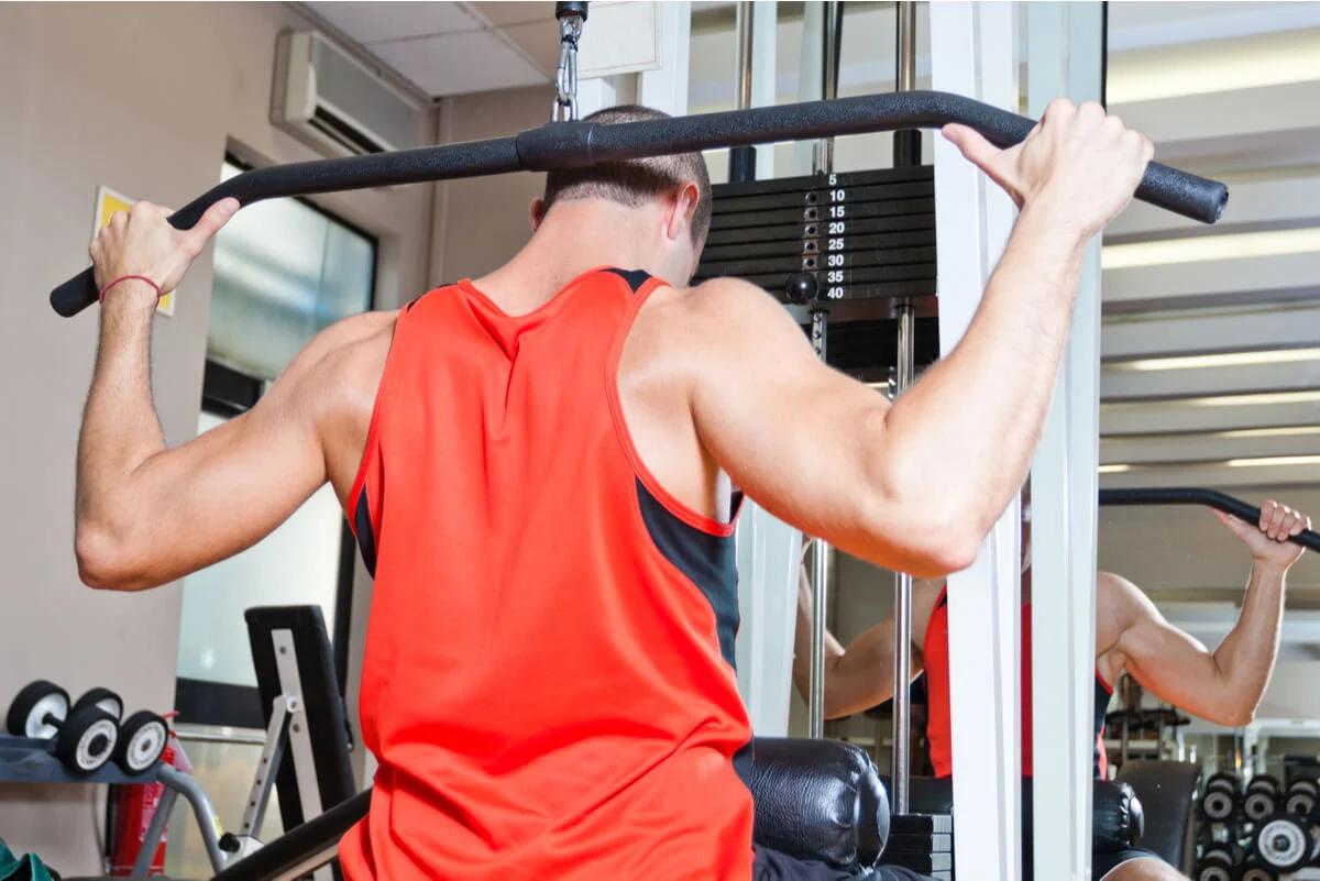 ave apoyada en el hombro - Cuál es el hombro posterior