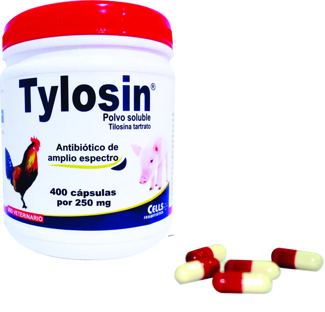 tilosina tartrato en aves - Cuál es el mejor antibiótico para aves