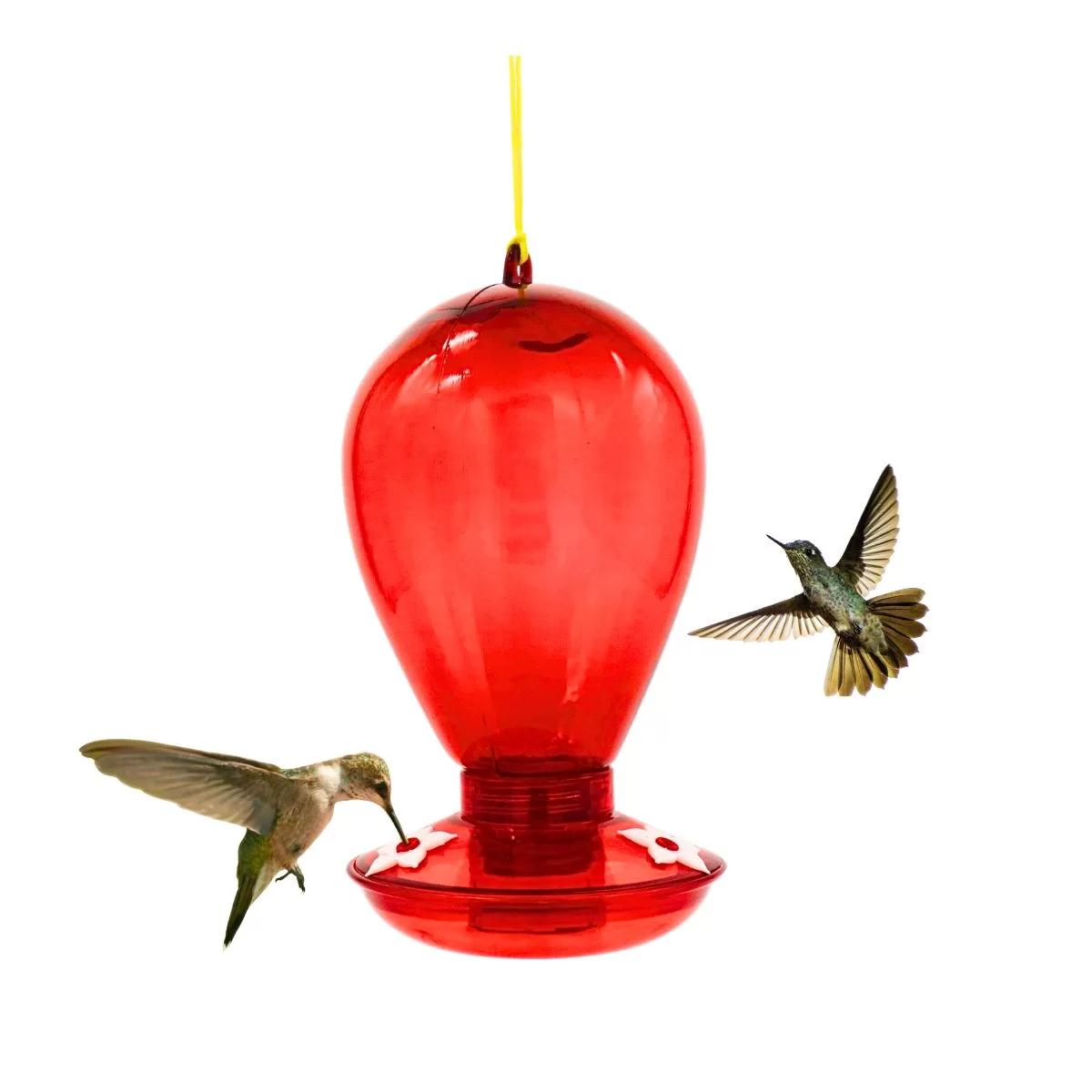 bebederos para pajaros colibri - Cuál es el mejor néctar para colibríes