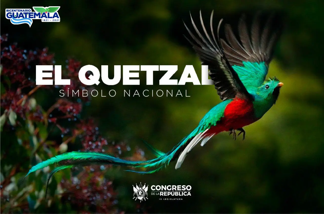 el quetzal es una de las aves con mas bello - Cuál es el poema del quetzal