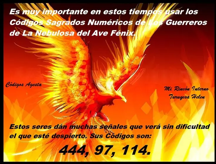 ave fenix oroscopo - Cuál es el santo del signo de Escorpio