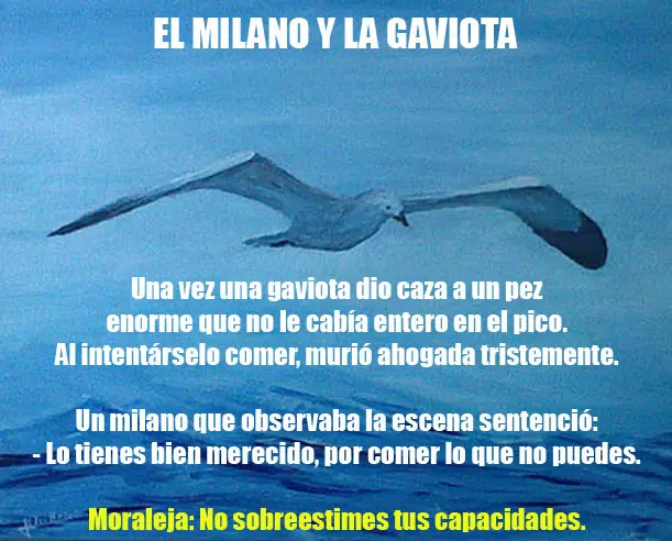 el chiste de moraleja pajaro en mano - Cuál es el significado de pájaro en mano vale más que pájaro en mano