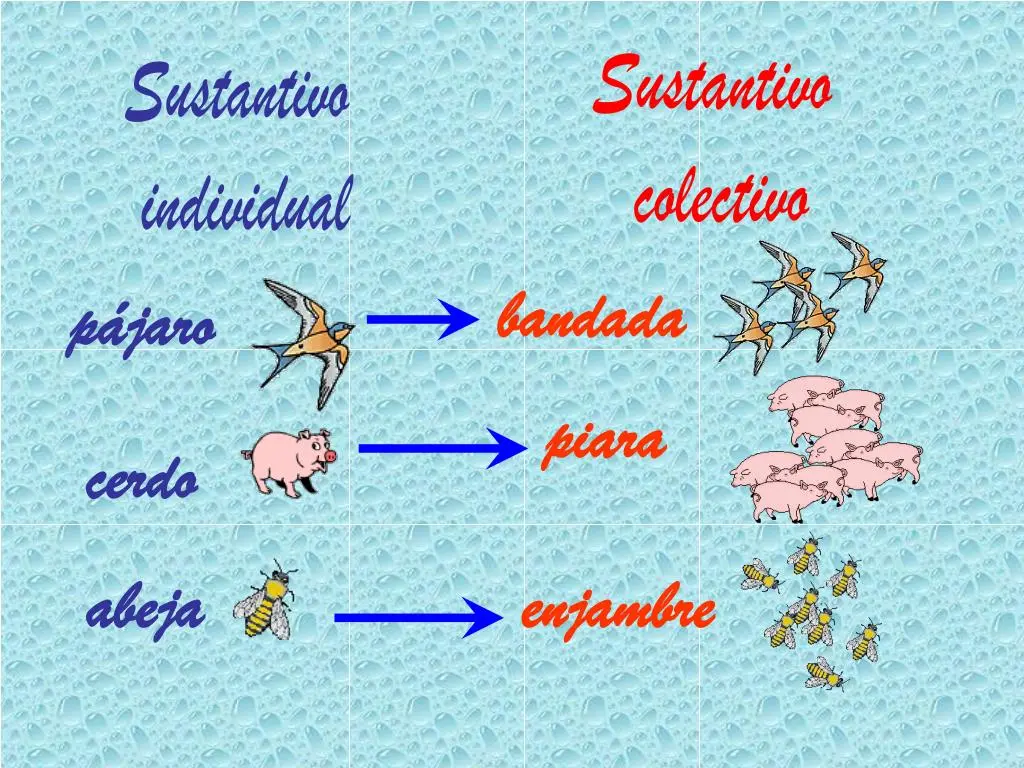 el sustantivo colectivo de pajaros - Cuál es el sustantivo individual de jauría