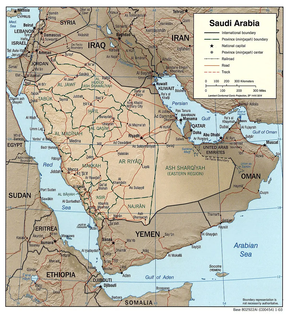 ave de arabia - Cuál es la fauna de Arabia Saudita