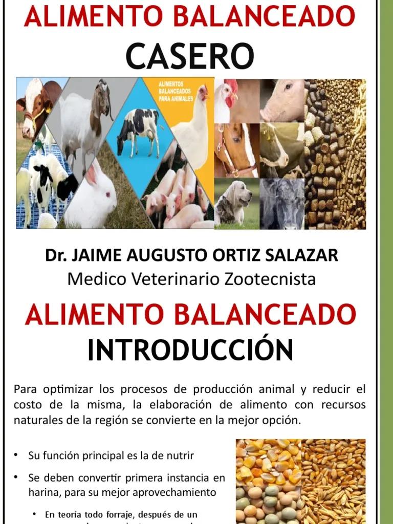 análisis básicos para alimentos balanceados para aves - Cuál es la materia prima de una granja avicola