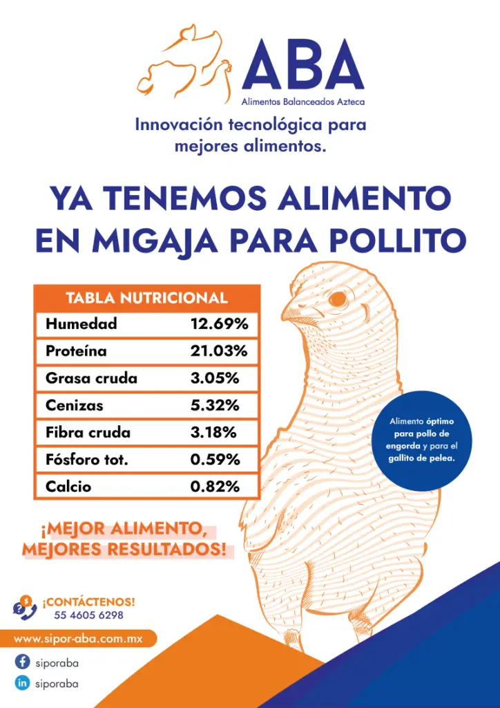 tipos de alimentos para aves - Cuál es la mejor proteína para aves