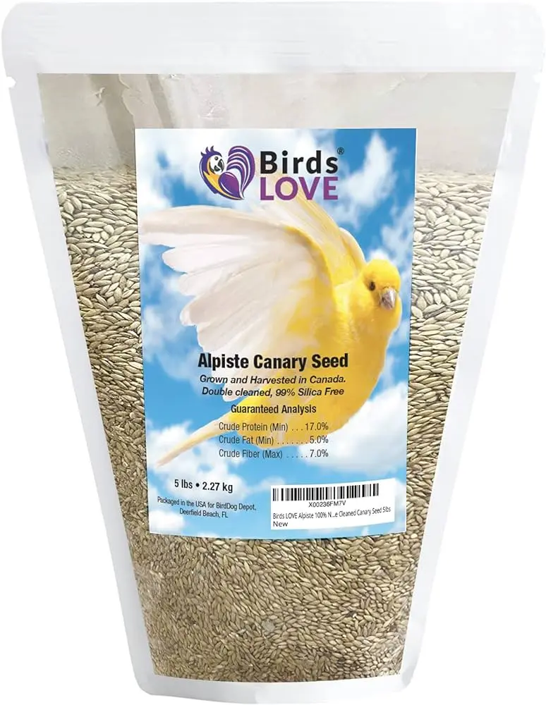 Alpiste azul para pájaros: una opción saludable para loros y guacamayos - Cuáles son las mejores semillas para los jilgueros alpiste azul pal pajaro - Cuáles son las mejores semillas para los jilgueros